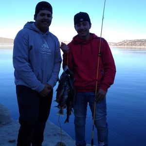 Meet your Posher, Alan